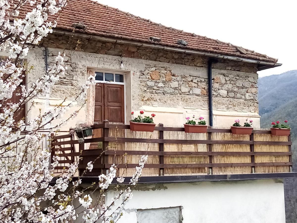 Naturama Nasino Zewnętrze zdjęcie